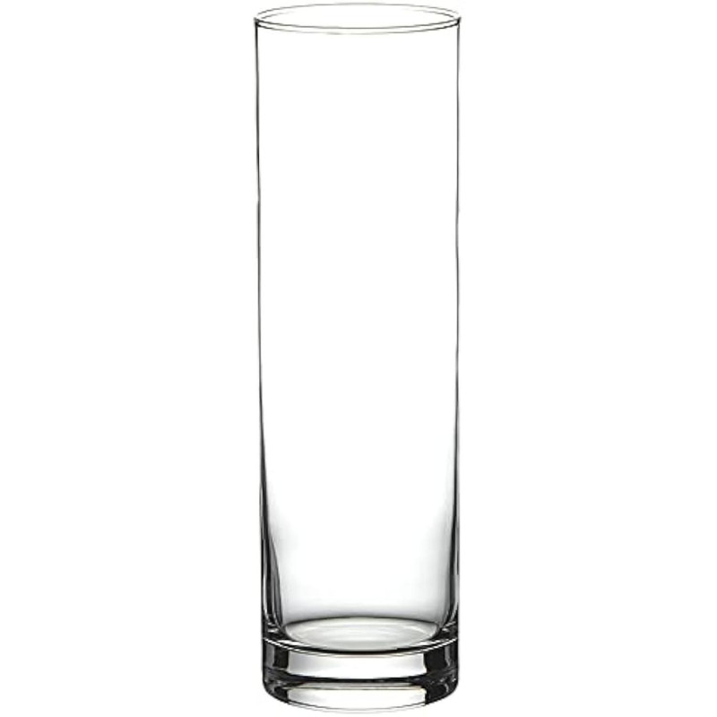 Klaasvaas BOTANICA CYLINDER h-26.5cm