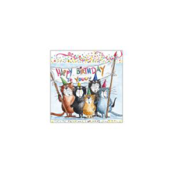 Salvrätikud 33 cm, 3 tk...