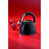 Kettle with whistle 2.4L black, induction VITUS