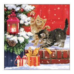 33cm 3k. 20GB KITTENS ON...