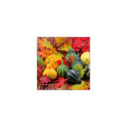 Salvetes 33cm 3-k. 20gb...