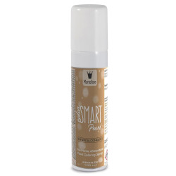 Aukso spalvos aerosolis 100 ml