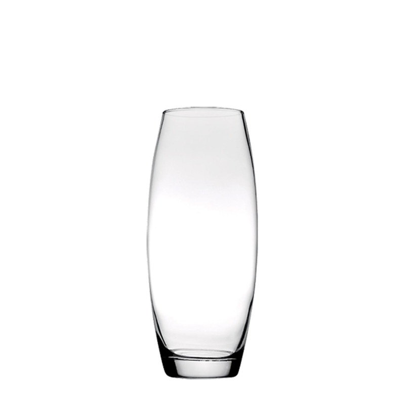 Vāze stikla BOTANICA h-26cm