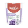 Scented Candle in a glass 80/73 mm TRUE SCENTS LAVENDER