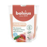 Scented Candle in a glass 80/73 mm TRUE SCENTS PEACH