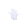 Serving Gloves Tunis one size