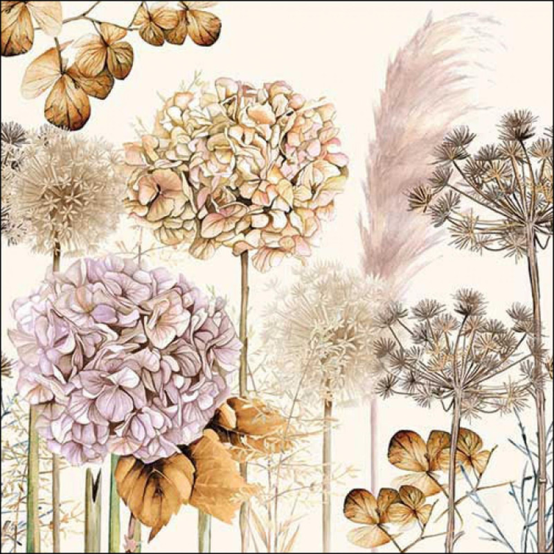 Salvetes 33cm 3-k. 20gab DRIED FLOWERS