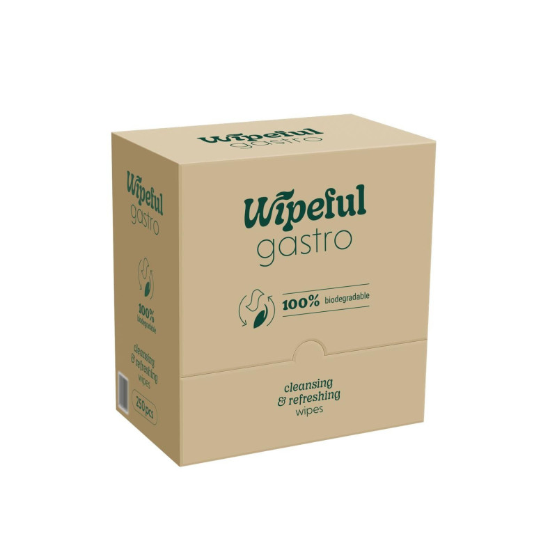 Salvetes mitrās 250gab bez aromāta, 100% Biodegradable [8]