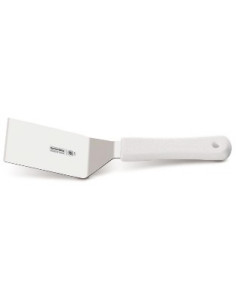 PROFESSIONAL MASTER...