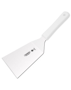 PROFESSIONAL MASTER...