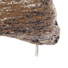 BB_S3017244