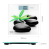 BB_S6502205