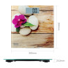 BB_S6502206