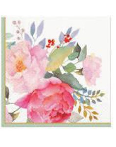 NAPKINS  33X33CM TENDER...