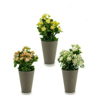 Dekoratyvinis augalas Ibergarden Plastmasinis 11 x 22 x 11 cm,,,