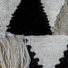 BB_S3013929