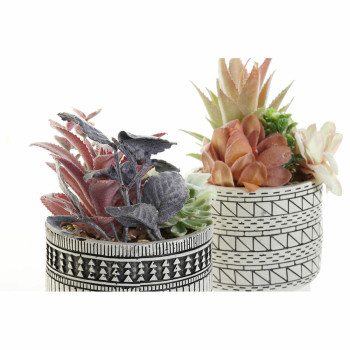 Dekoratyvinis augalas DKD Home Decor Kaktusas Derva Polietilenas 11 x 11 x 21 cm (2 vnt.),,,