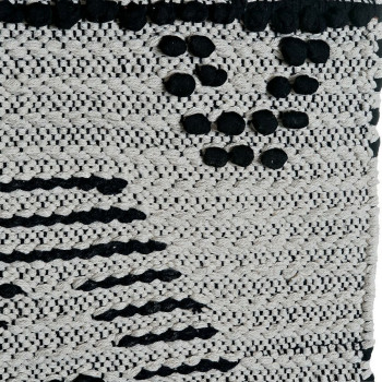 BB_S3013971