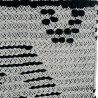 BB_S3013971