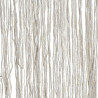 BB_S3013971