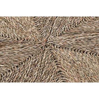 BB_S3038169