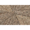 BB_S3038169