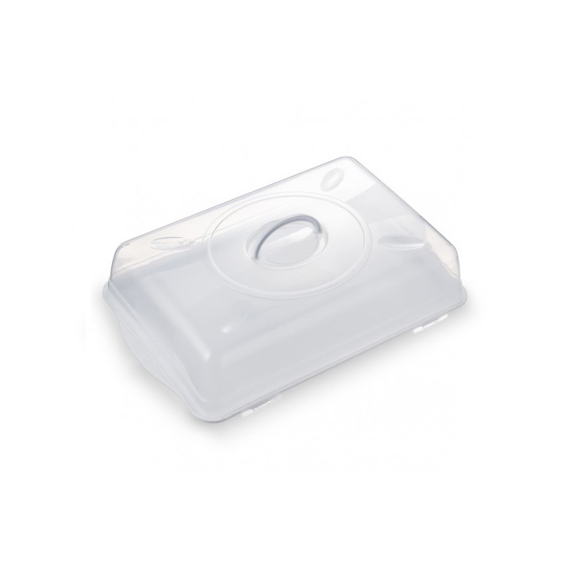 paplāte ptmasasmasas. 40*29*10cm su крышкаčiu 3908