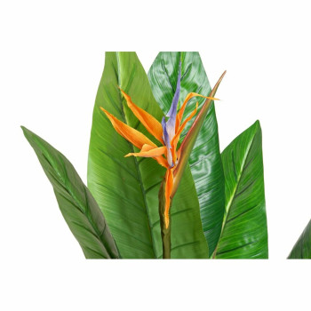 Dekoratyvinis augalas DKD Home Decor PVC Plastmasinis 100 x 100 x 145 cm,,,