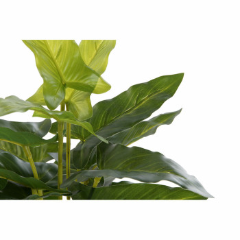 Dekoratyvinis augalas DKD Home Decor PVC polipropileno 25 x 25 x 30 cm,,,