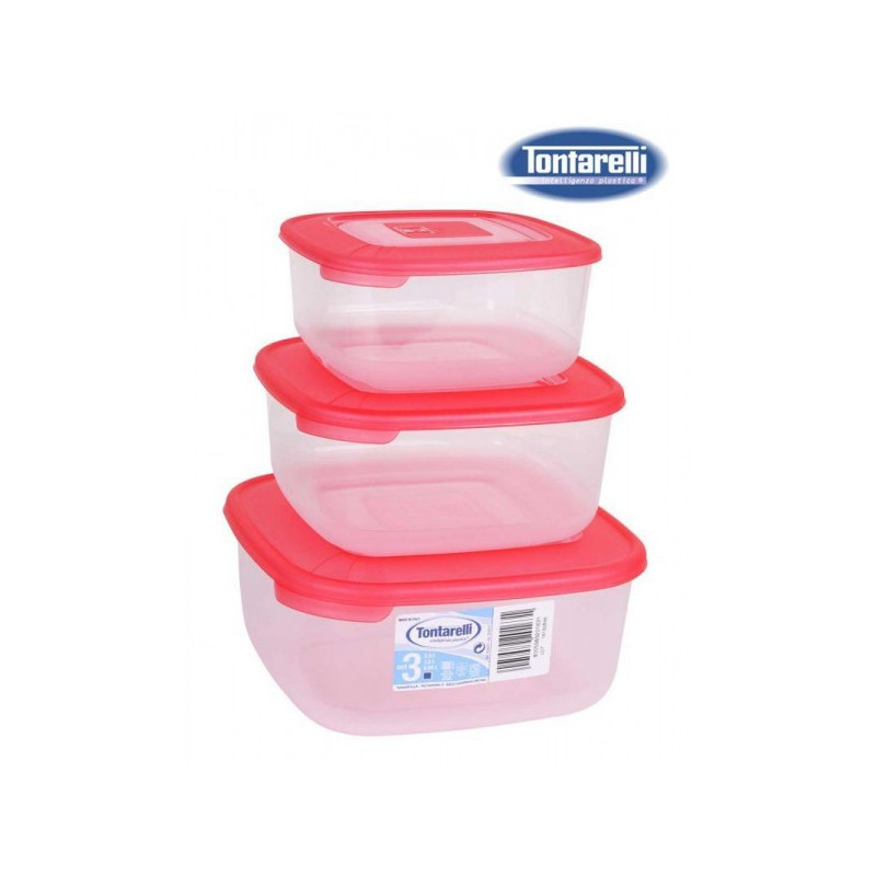 Dėžutės maistui plast. 1/1.5/2.5L 3vnt FAMILY