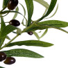 BB_S3611145