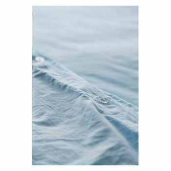 BB_S2802386