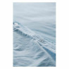 BB_S2802386