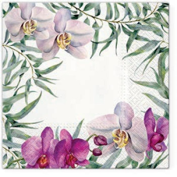 SALVETES 33X33 ELEGANT ORCHID, Paw Decor Collection
