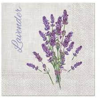 SALVETES 33X33CM LAVENDER FOR YOU, Paw Decor Collection