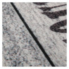 BB_S3404764