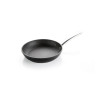 PRESIDENT PAN  24CM, FOR INDUCTION, Tescoma