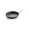 PRESIDENT PAN  26CM, FOR INDUCTION, Tescoma