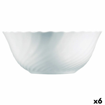 BB_S2706702