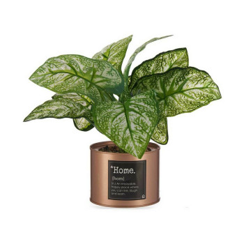 Декоративное растение Ibergarden Home Металл Пластик банка 26 x 26 x 26 cm Медь (6 штук)