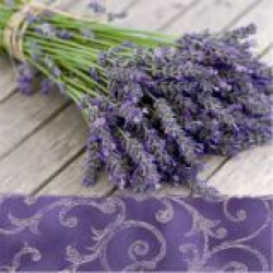 NAPKINS  33X33CM LAVENDER...