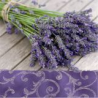 SALVETES 33X33CM LAVENDER IN THE COUNTRY, Paw Decor Collection