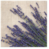 NAPKINS  33X33CM LAVENDER SHEAF, Paw Decor Collection