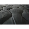 BB_S7151836