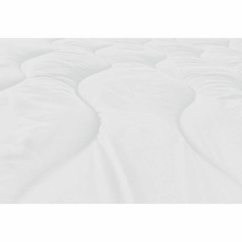 BB_S7151836