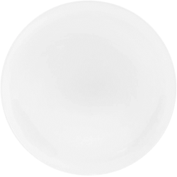 ROLLED RIM DINING  PLATE...