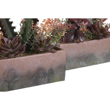 Dekoratyvinis augalas DKD Home Decor 19 x 9 x 22 cm Rožinė Oranžinė Kaktusas Eva guminis polipropileno (2 vnt.),,,