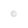 BB_S2710196