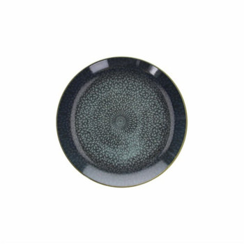CP000268602