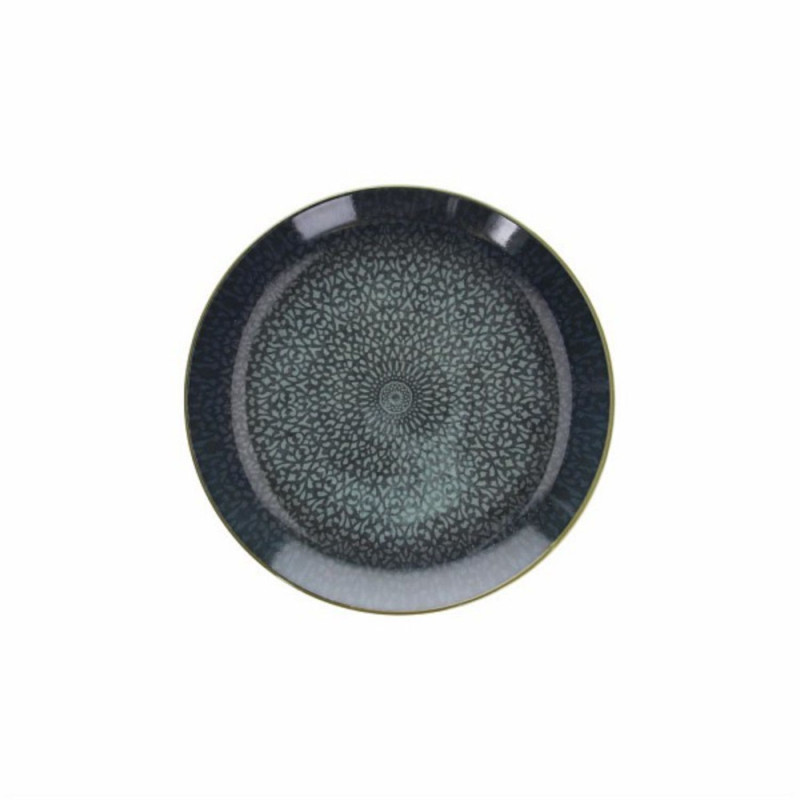 CP000268602
